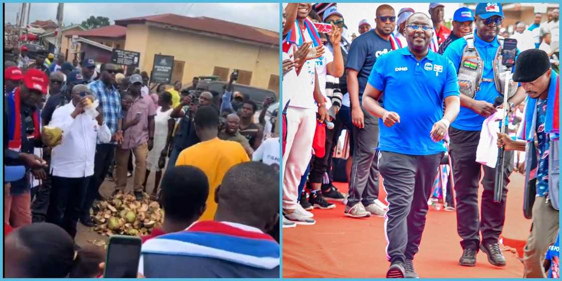 Dr Bawumia drinks coconut in public during one of his campaign tours. NPP, Election 2024, NDC, NPP supporters, NPP campaign tours