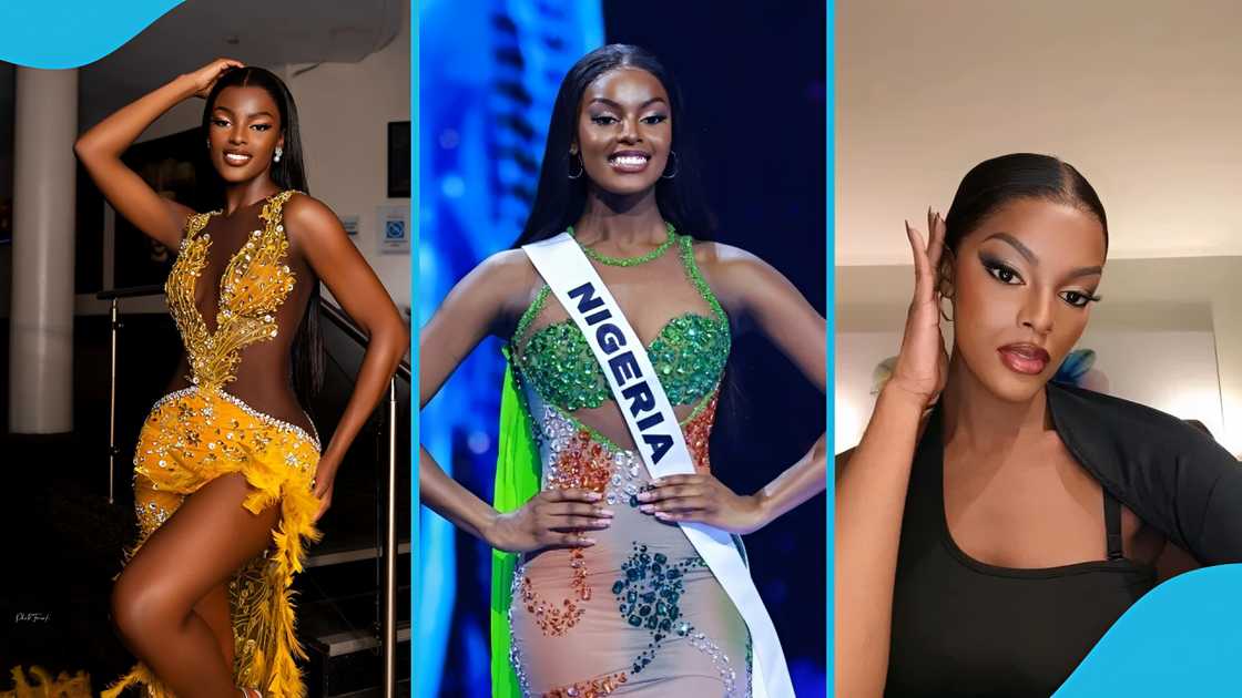 chidinma adetshina, south africa, miss universe, chidinma adetshina deportation, chidinma adetshina court case, xenophobia south africa