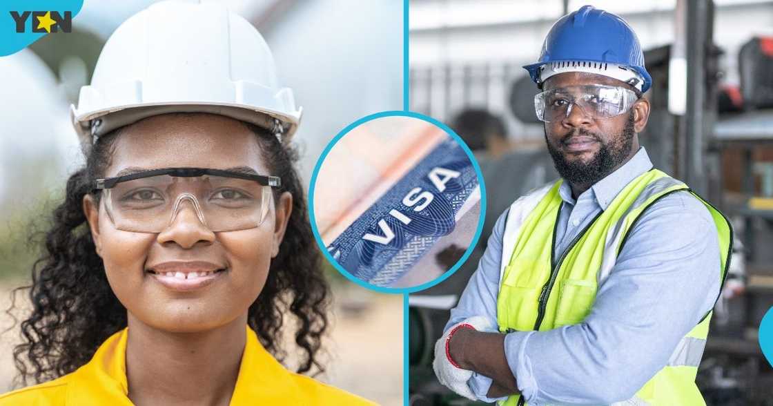 New Zealand, New Zealand government, New Zealand Immigration, New Zealand three-year work visa, foreign workers, skilled visa New Zealand, New Zealand government, New Zealand Immigration, New Zealand three-year work visa, foreign workers, skilled visa