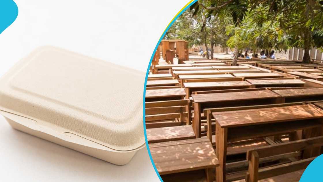 Styrofoam packs, Furniture, Mahama administration, Pollution