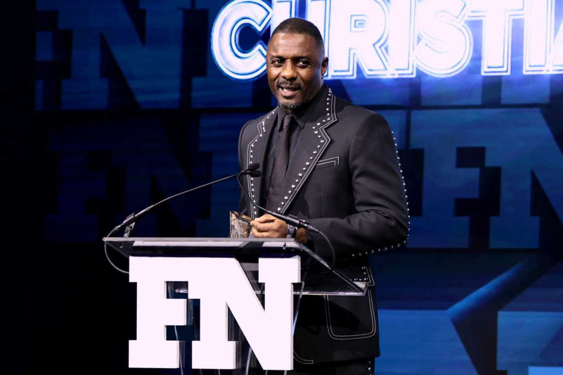 sonya nicole hamlin and idris elba's divorce