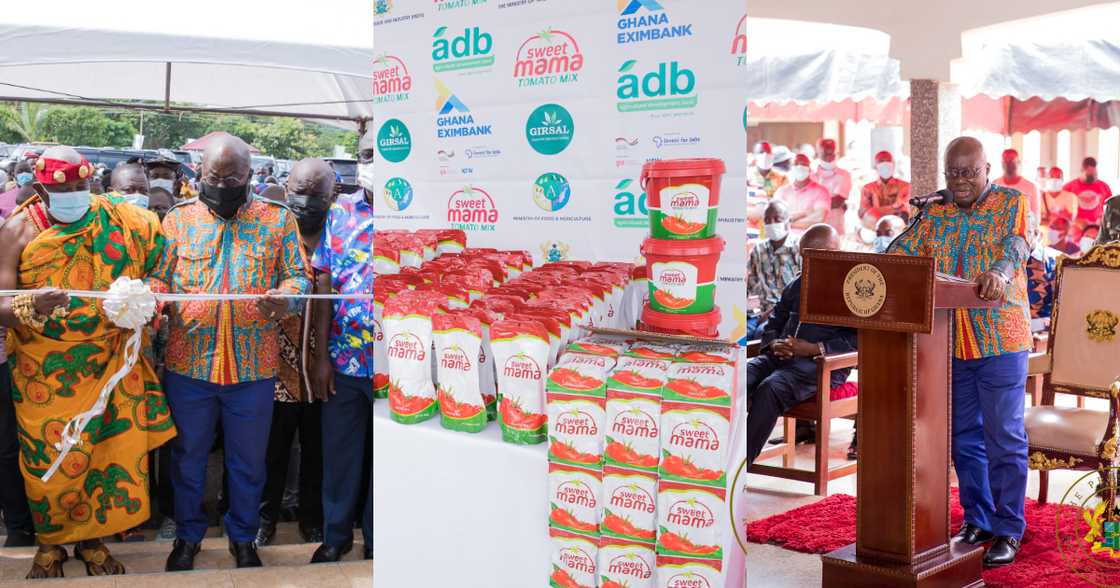 Akufo-Addo shows he is fixing the country as he commissions $16m 1D1F Tomato Processing Factory in Sunyani Akufo-Addo shows he is fixing the country as he commissions $16m 1D1F Tomato Processing Factory in Sunyani