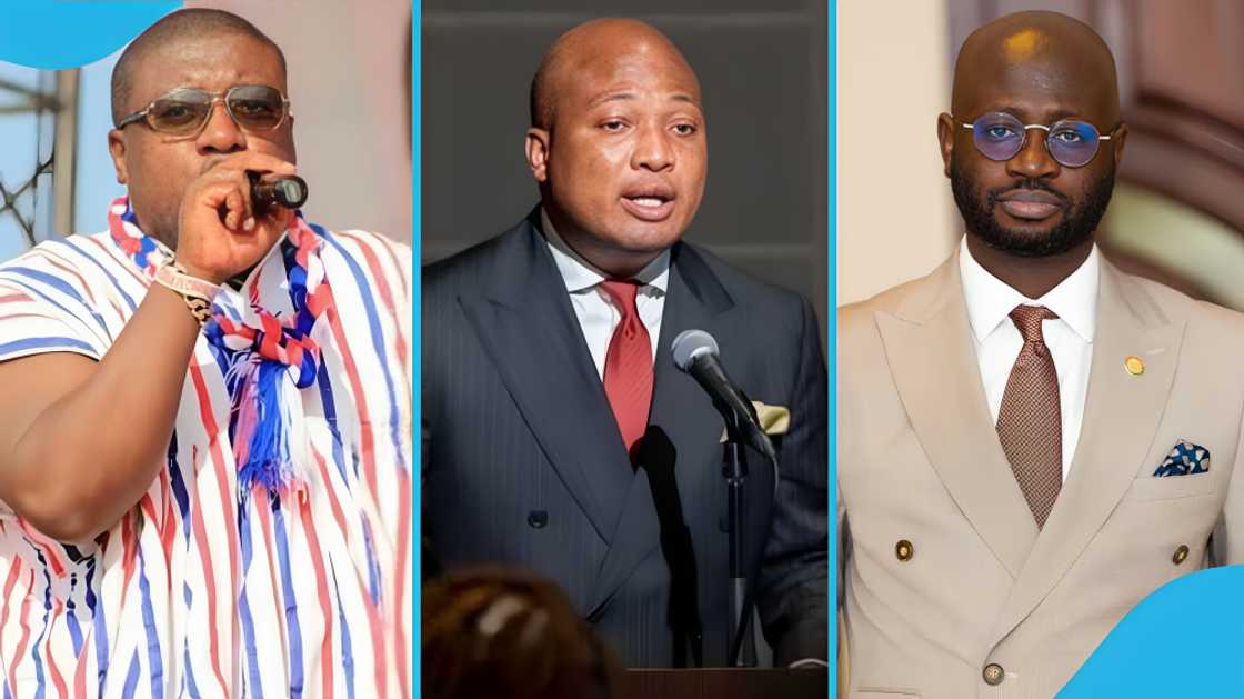 Parliament, Samuel Okudzeto Ablakwa, Nana Asafo-Adjei Ayeh, Nana B service, Ghana service passport, Foreign Affairs Ministry, Henry Nana Boakye, Parliament Foreign Affairs Committee, Ghanaians evacuation from South Africa