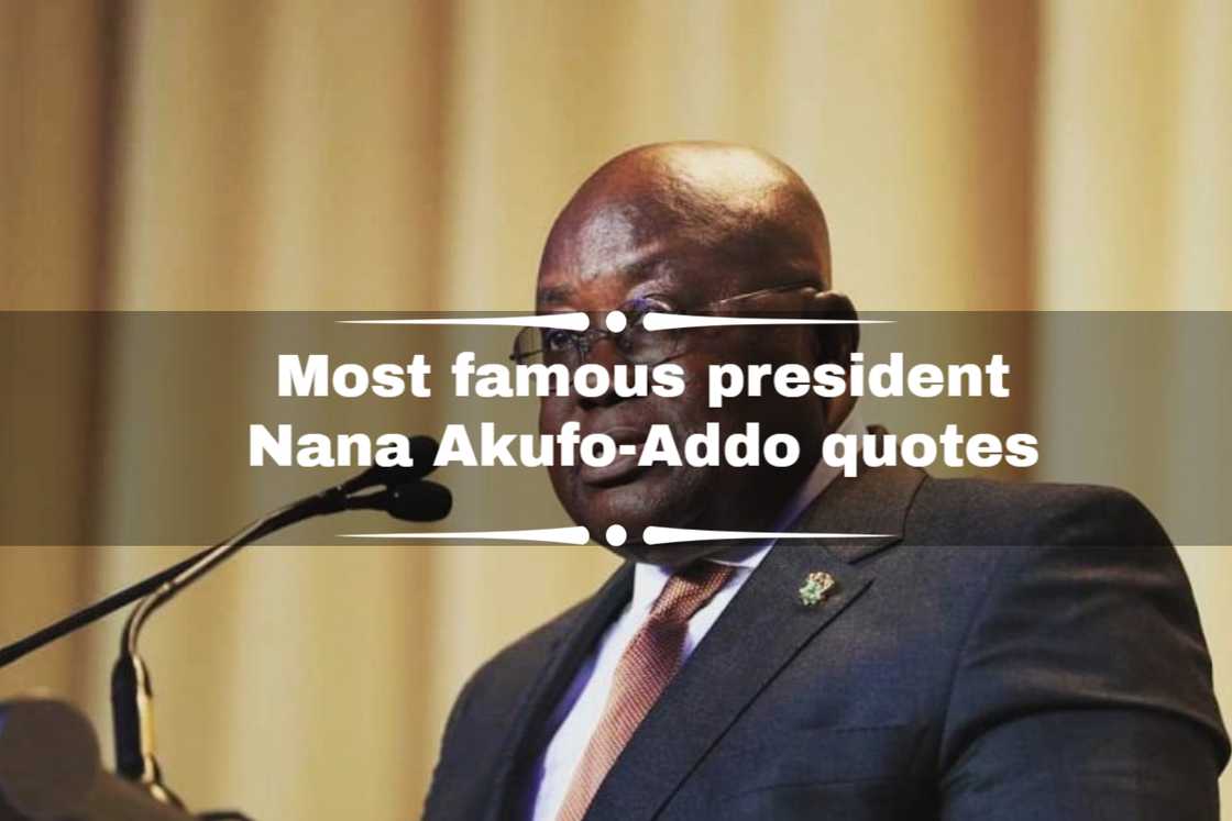 Nana Akufo-Addo quotes