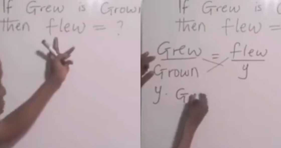 Video of Teacher Using ration and Proportion to find past Participle of 'grew' Surfaces Online Video of Teacher Using ration and Proportion to find past Participle of 'grew' Surfaces Online