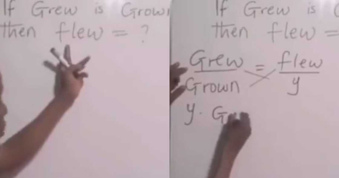 Video of Teacher Using ration and Proportion to find past Participle of 'grew' Surfaces Online