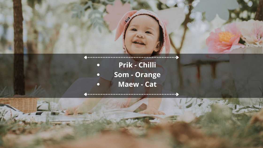 Thai nicknames for a girl Thai nicknames for a girl