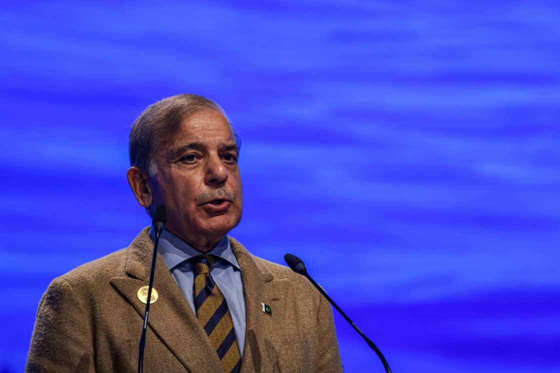 Rich nations have fallen short on delivering climate finance, said Pakistan's Shehbaz Sharif Rich nations have fallen short on delivering climate finance, said Pakistan's Shehbaz Sharif