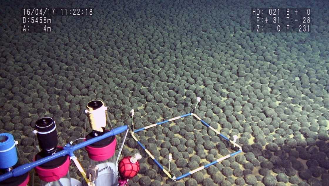 So-called polymetallic nodules like those seen in this 2016 photograph from Japan are at the heart of the race to mine ocean floors for valuable minerals and metals So-called polymetallic nodules like those seen in this 2016 photograph from Japan are at the heart of the race to mine ocean floors for valuable minerals and metals