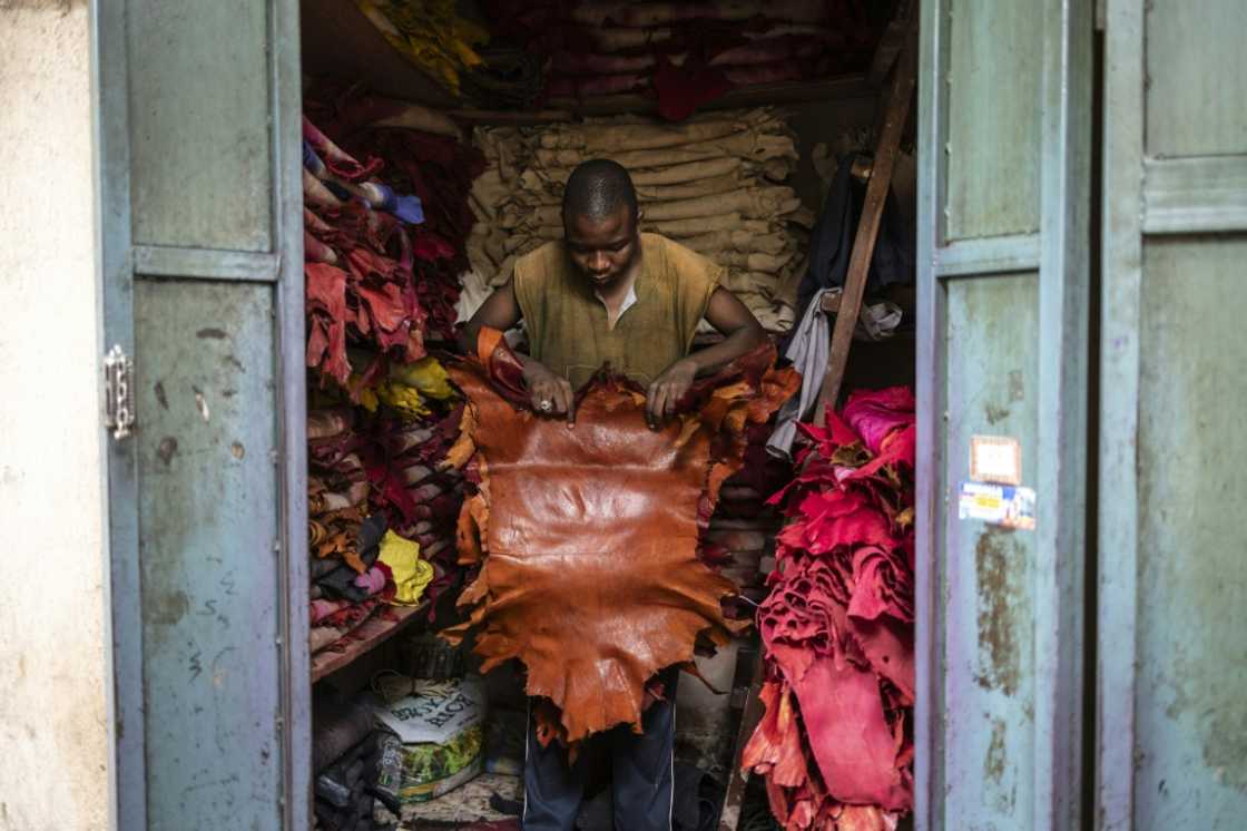 Local leather is sold at the Kurmi market in Kano -- but Nigeria exports 90 percent of its leather Local leather is sold at the Kurmi market in Kano -- but Nigeria exports 90 percent of its leather