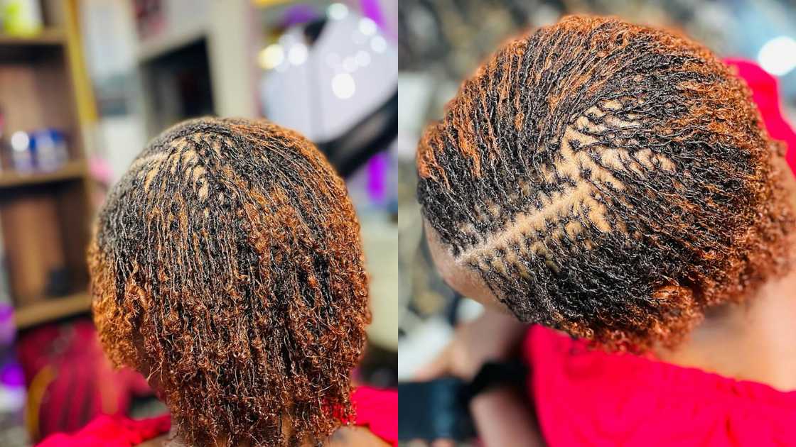 Curly brown sister locs Curly brown sister locs