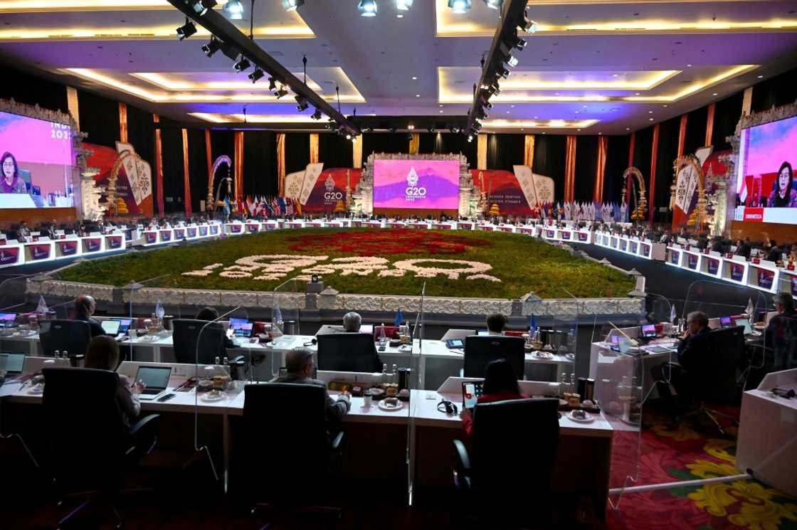 Indonesian Finance Minister Sri Mulyani addressed the ministers at the start of talks in Bali Indonesian Finance Minister Sri Mulyani addressed the ministers at the start of talks in Bali