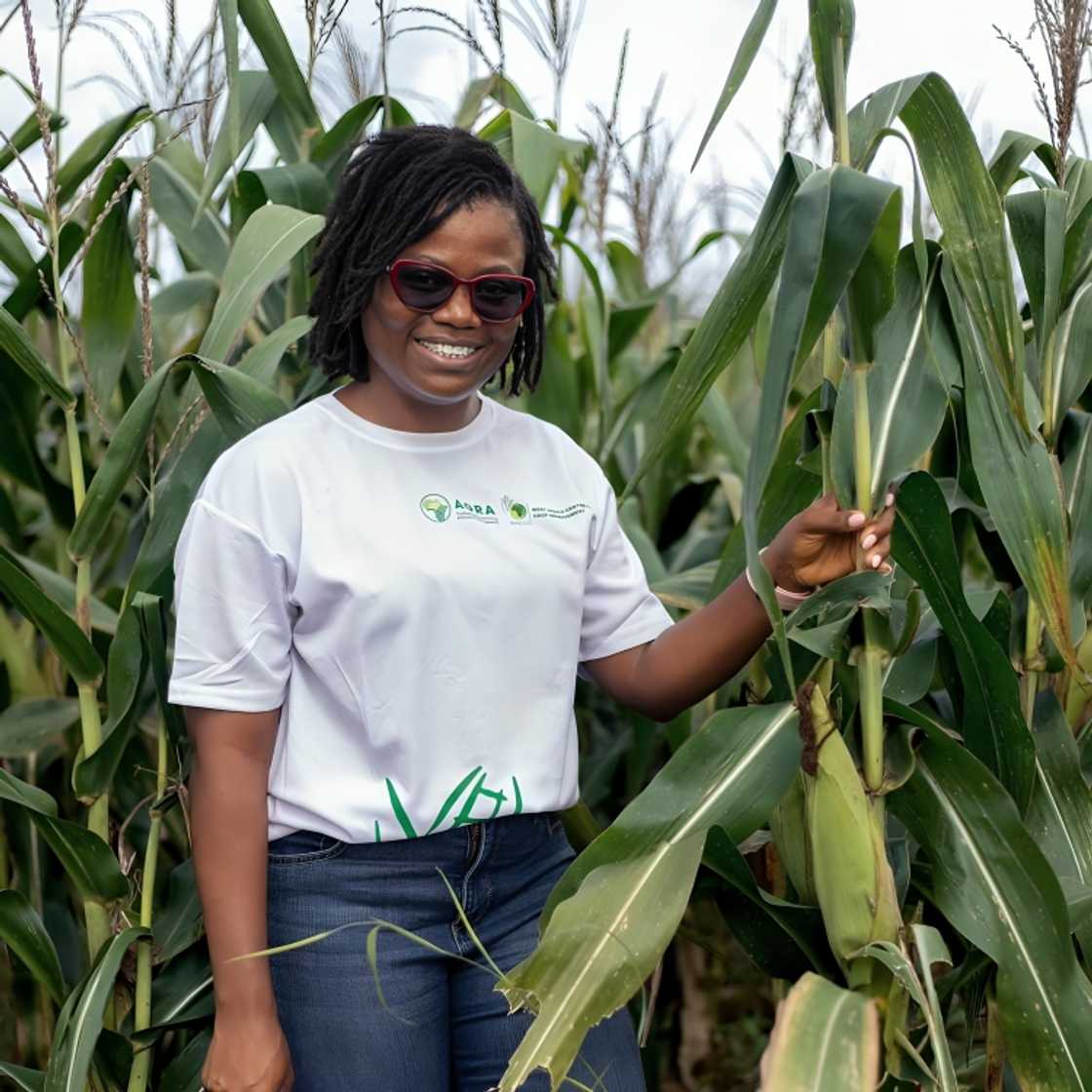 Dr. Pearl Abu, University of Ghana, Agriculture, UNESCO, Maize, Award, Ghana