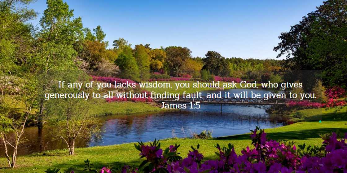 words of wisdom words of wisdom