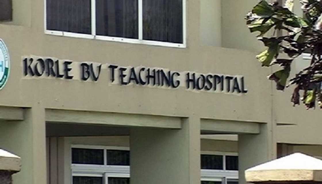 korle bu, teaching hospital, ghana, organ donation, affordable transplants, korle bu ceo korle bu, teaching hospital, ghana, organ donation, affordable transplants, korle bu ceo