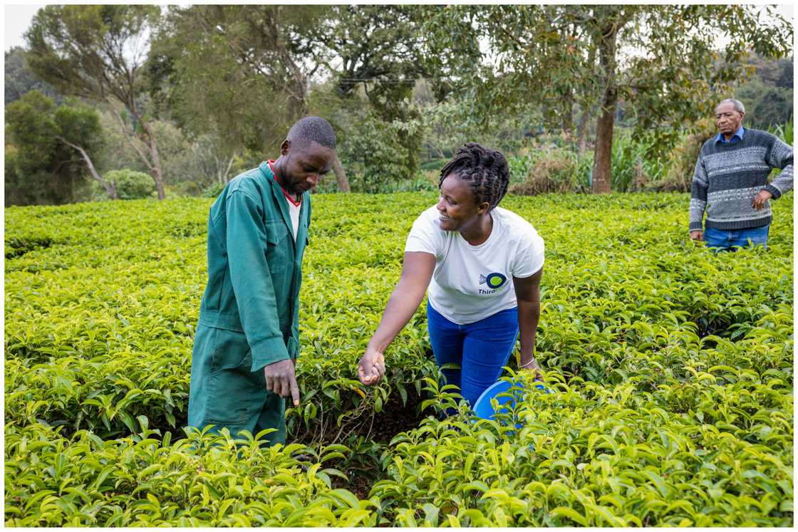 Farmers' Day Farmers' Day