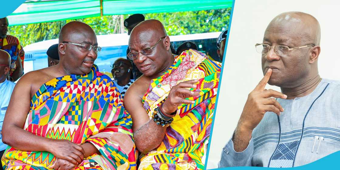 Majority leader supports Bawumia