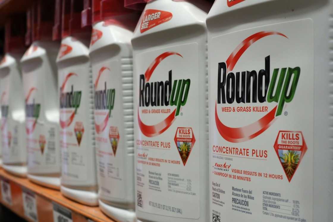 The US Supreme Court has refused to take on Bayer's bid to block Roundup weedkiller cases The US Supreme Court has refused to take on Bayer's bid to block Roundup weedkiller cases