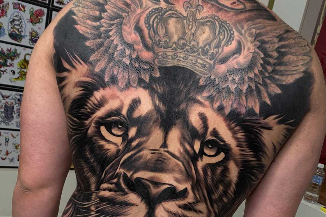 A man is having a lion head and crown tattoo A man is having a lion head and crown tattoo