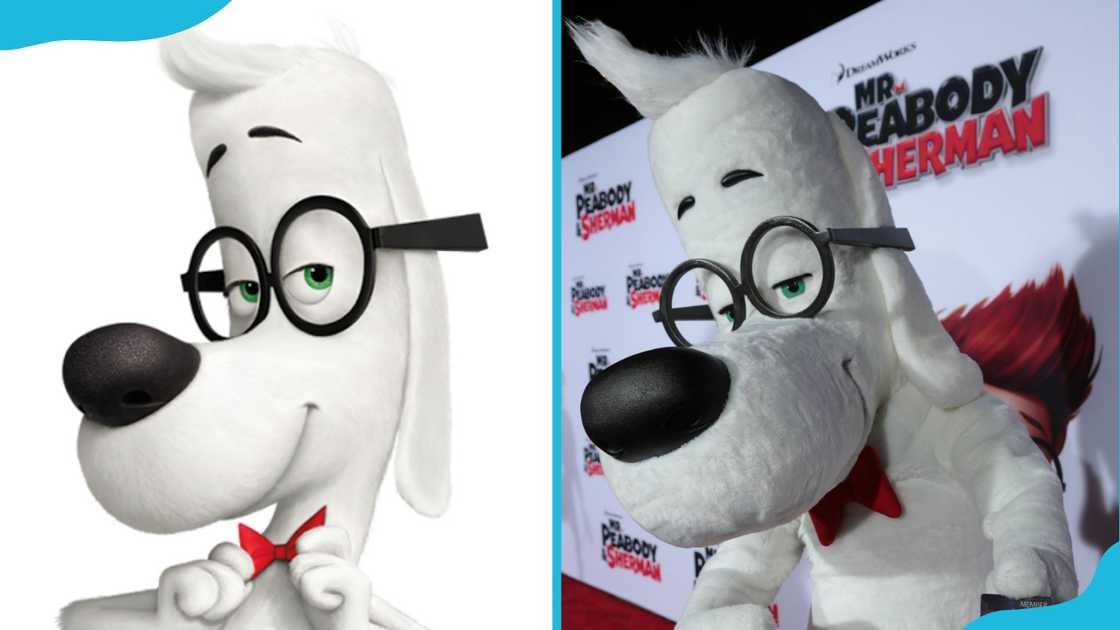 Mr. Peabody from Mr. Peabody & Sherman. Mr. Peabody from Mr. Peabody & Sherman.