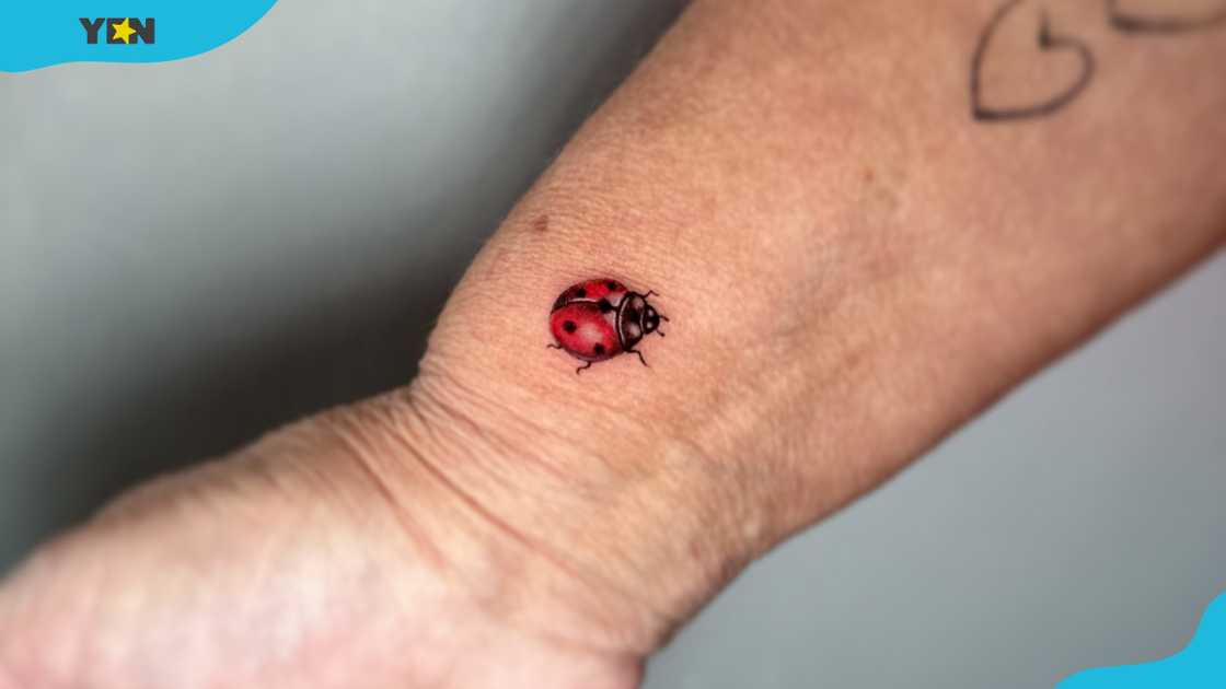 A small, realistic ladybug tattoo on the wrist