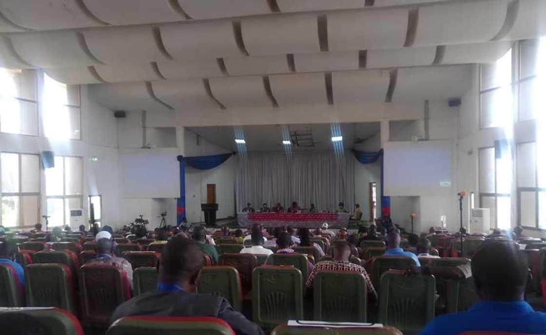 GNAT mutual fund GNAT mutual fund