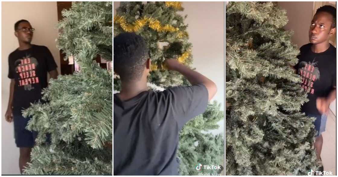 Man surprised to see Christmas tree in his living room Man surprised to see Christmas tree in his living room