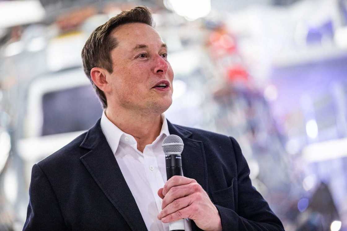 Twitter, Fans, Elon Musk, Parag Agrawal