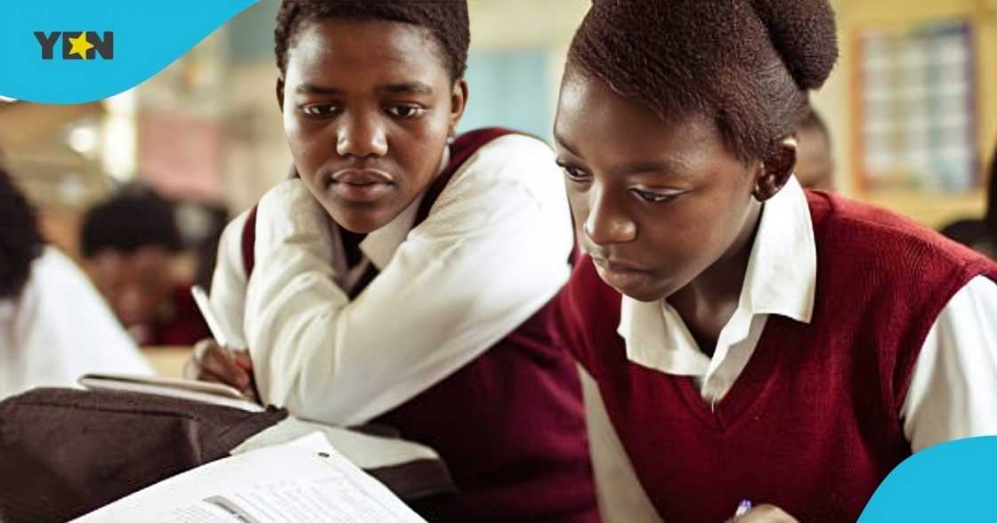 nigeria education system, ghana education system, technical studies, technical application, tiktoker, nigerian schools, nkoranza technical institute, vocational training.