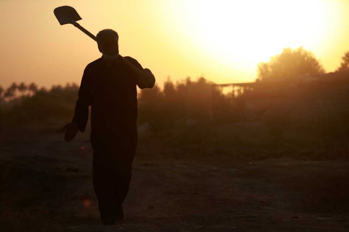 A farmer on the outskirts of the central Iraqi city of Hilla as temperatures soared past 45 degrees Celsius A farmer on the outskirts of the central Iraqi city of Hilla as temperatures soared past 45 degrees Celsius