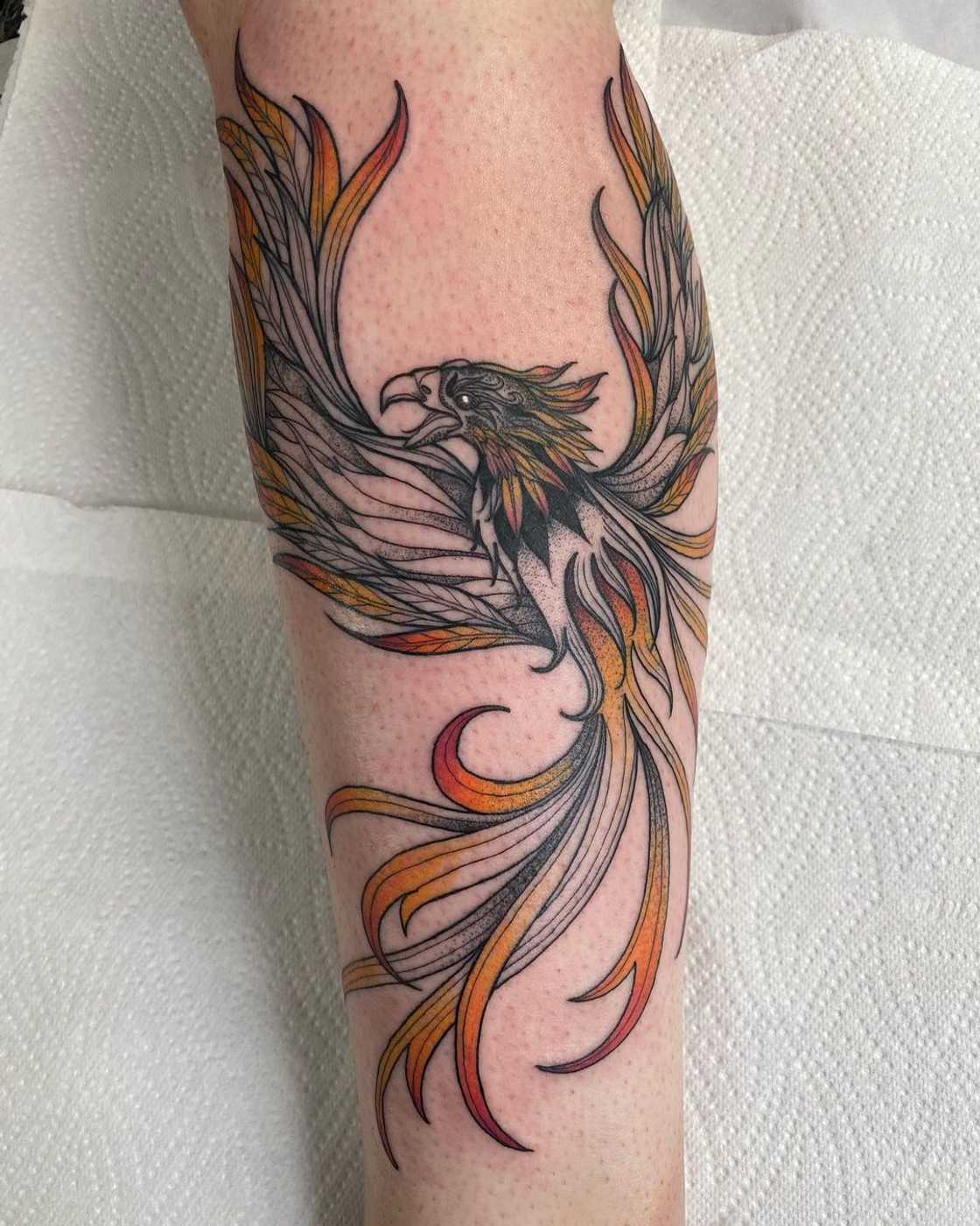 phoenix tattoo