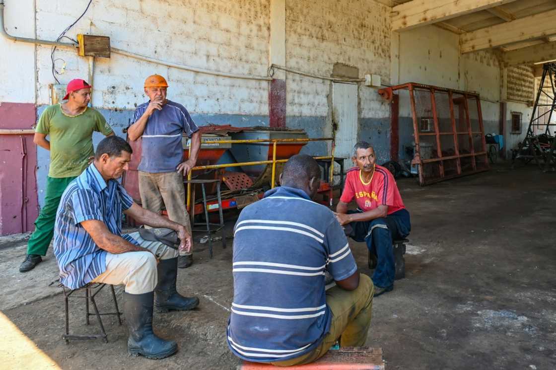 Agricultural cooperatives were set up by the communist state 30 years ago in a bid to revitalize the industry Agricultural cooperatives were set up by the communist state 30 years ago in a bid to revitalize the industry