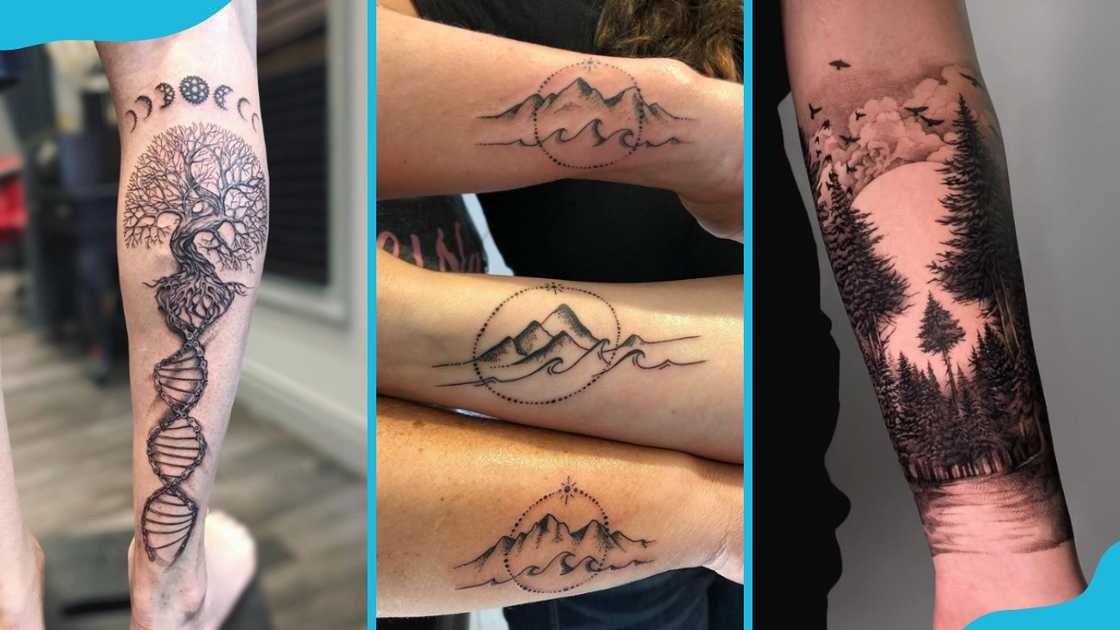 Nature elements Nature elements