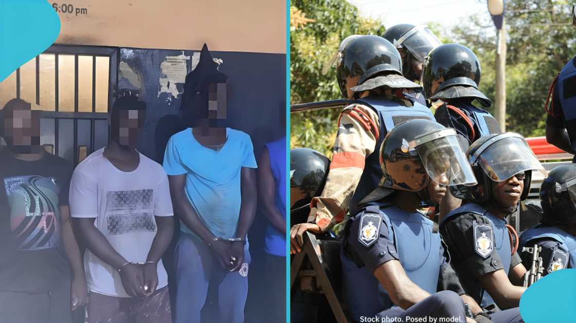 Tema Regional Police Command, Ghana Police, warehouse robbery, Kpone, Tema Community One, fertilizer theft, rice theft, Organic Fertilize