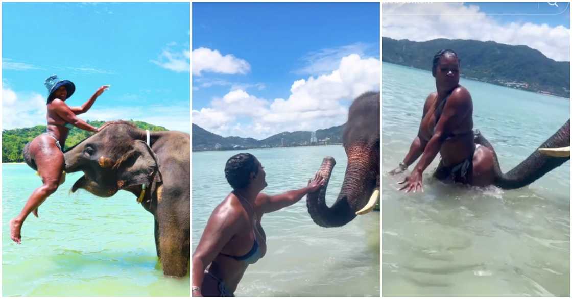 Chanta_diva with an elephant in Thailand