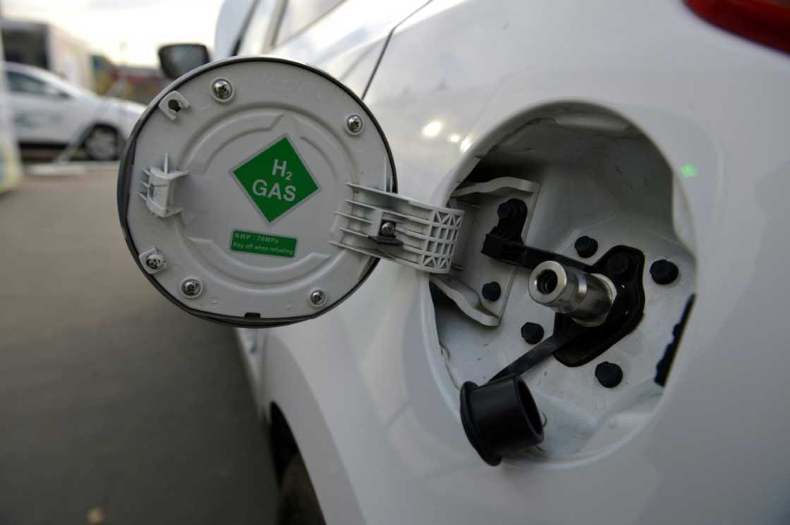 The only waste emitted by hydrogen fuel cell vehicles is water vapour The only waste emitted by hydrogen fuel cell vehicles is water vapour