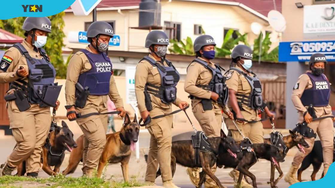 Ghana police officers walking around with police dogs