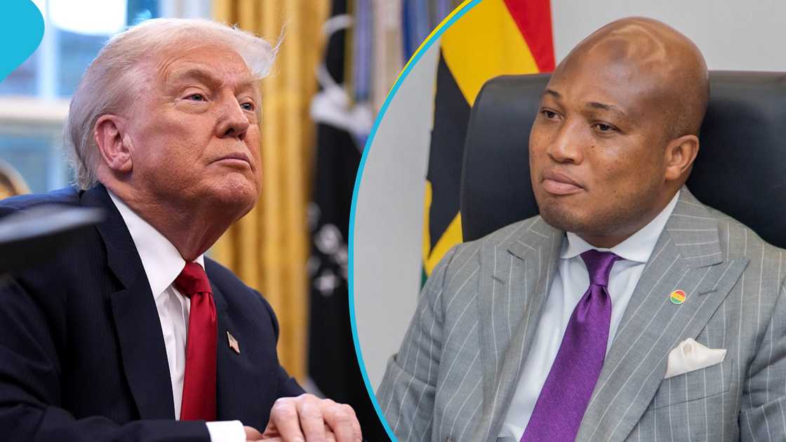 Trump tariffs, Donald Trump, Imports, Taxes, Tariffs, Ghana, Cocoa, Ablakwa