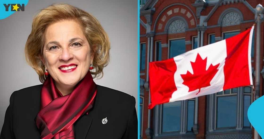 Canada refugee family sponsorship, refugee family reunification, immigration policy, family, sponsoring children or partners, permanent residency application, refugee advocates Canada, immigration exemptions
