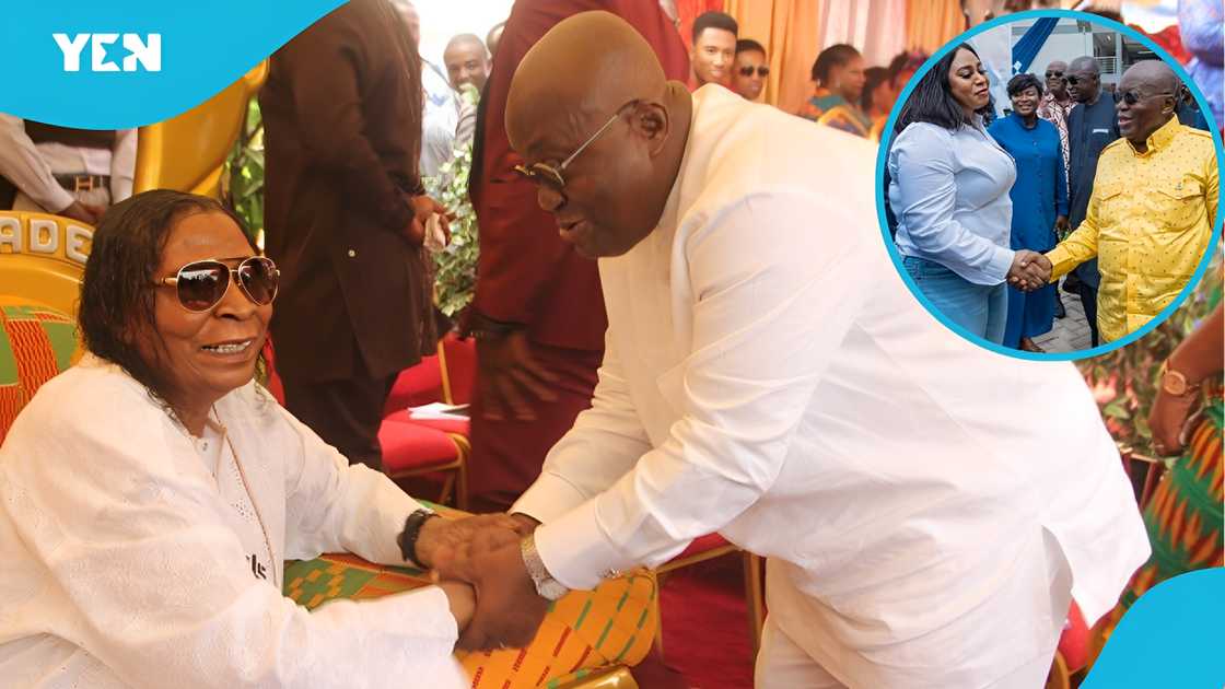 Safo Kantanka, Ghana, Akufo-Addo, Adwoa Safo, Ajagurajah, Prophet Roja Safo Kantanka, Ghana, Akufo-Addo, Adwoa Safo, Ajagurajah, Prophet Roja