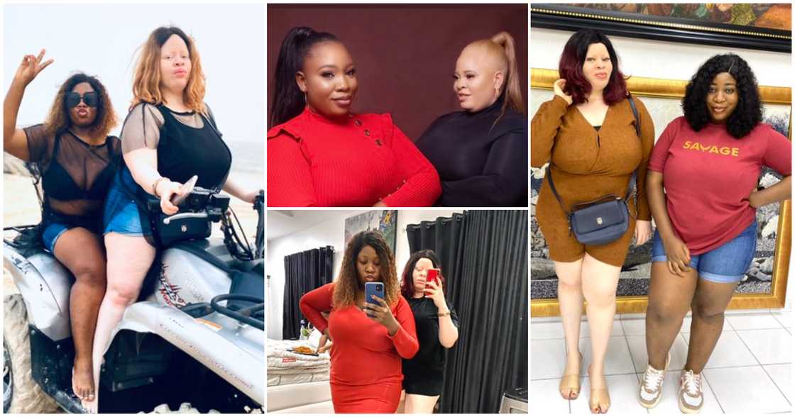 Twin sisters with different skin colours Twin sisters with different skin colours