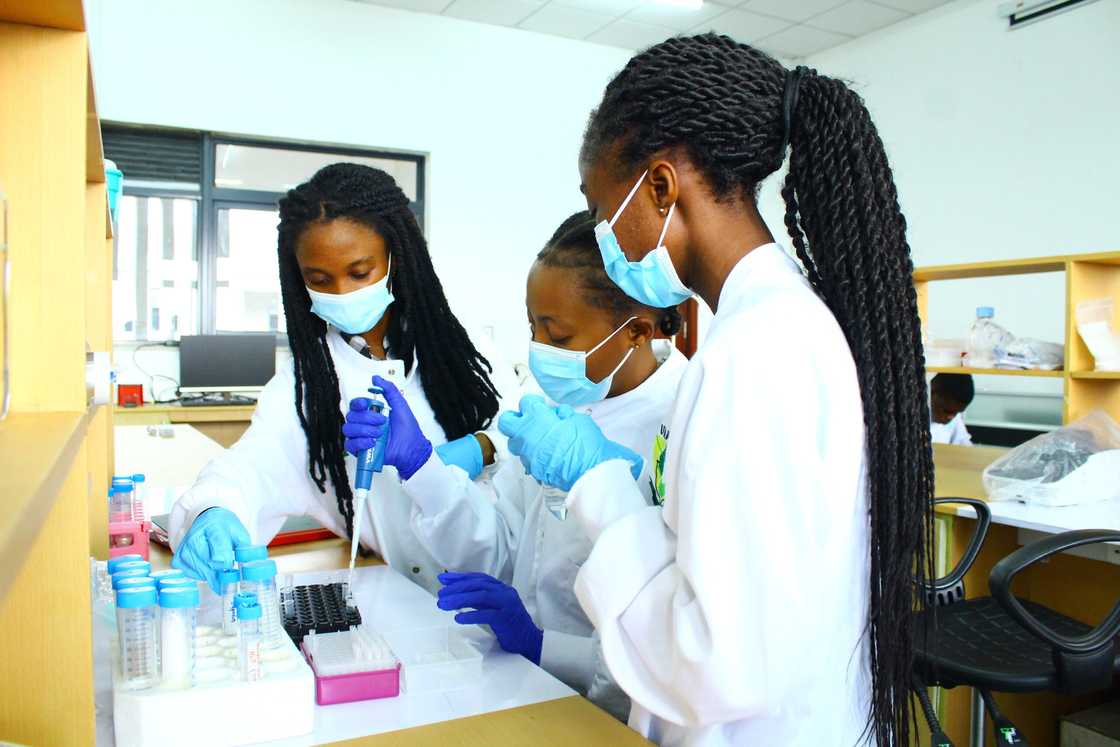 UHAS admission portal UHAS admission portal