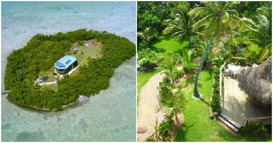 Beyoncé receives a private island from Jay-Z as birthday gift Beyoncé receives a private island from Jay-Z as birthday gift