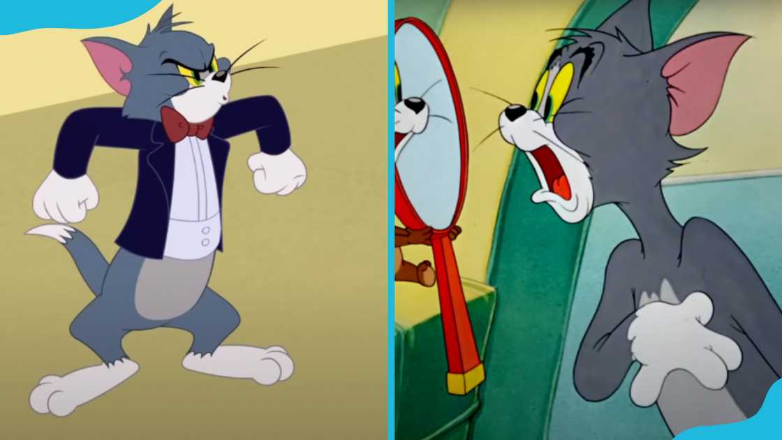 Tom from Tom and Jerry Tom from Tom and Jerry
