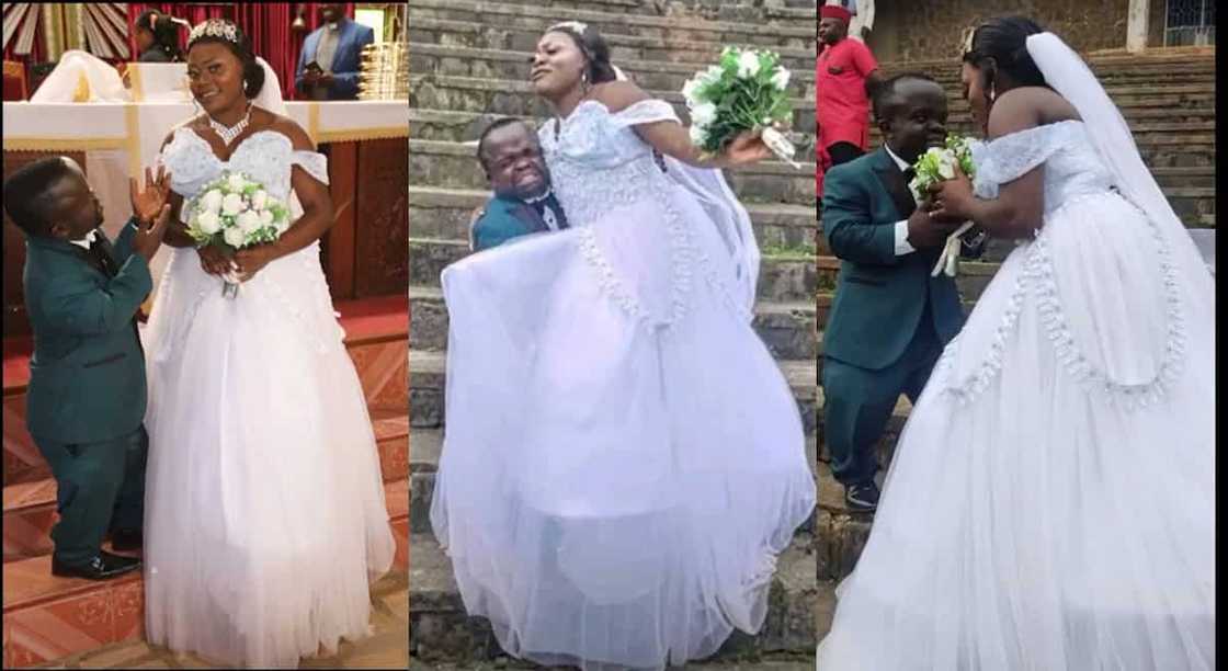 Photos of a smallish groom and his tall bride.