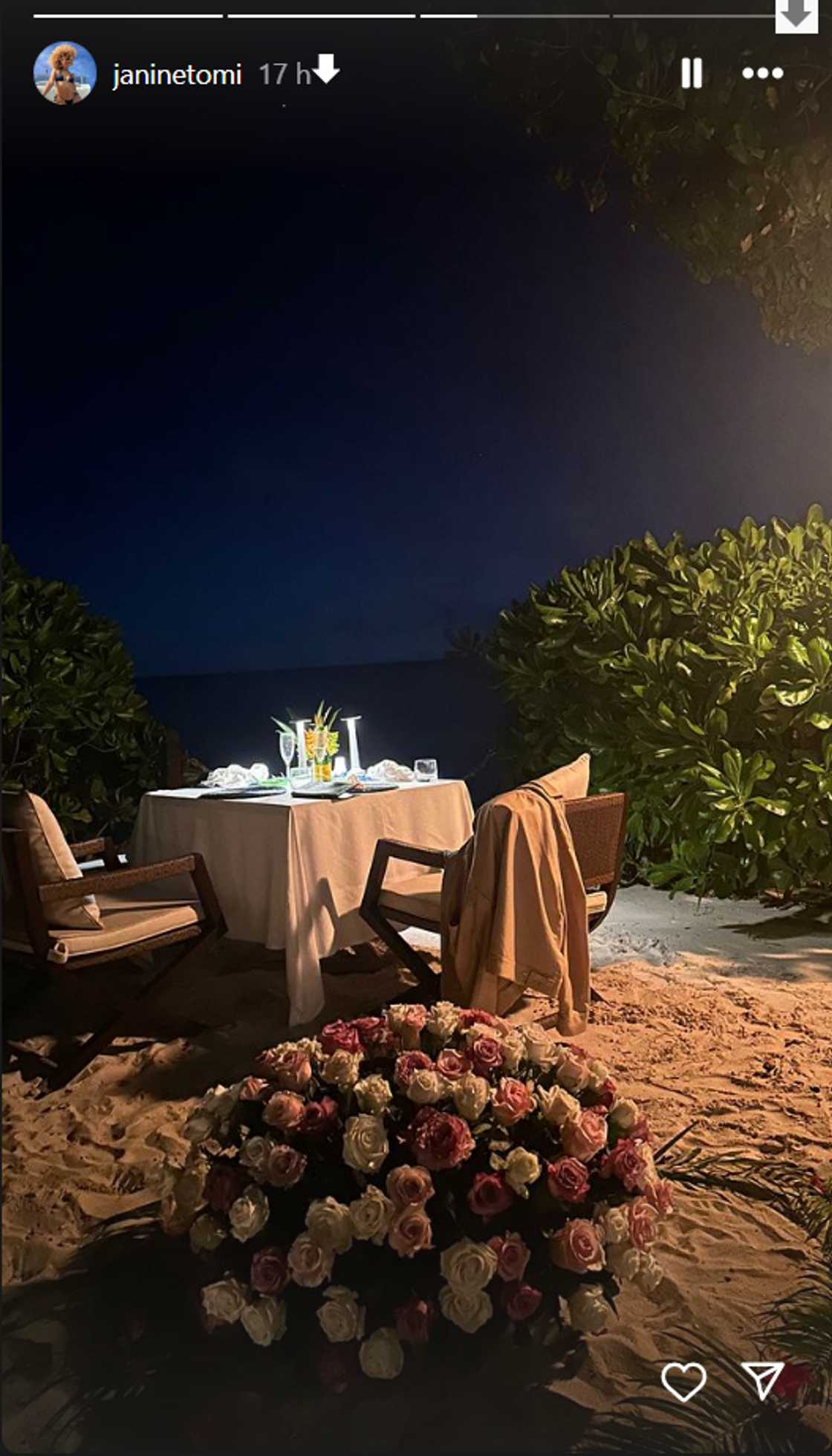 The lovely romantic dinner after the proposal The lovely romantic dinner after the proposal