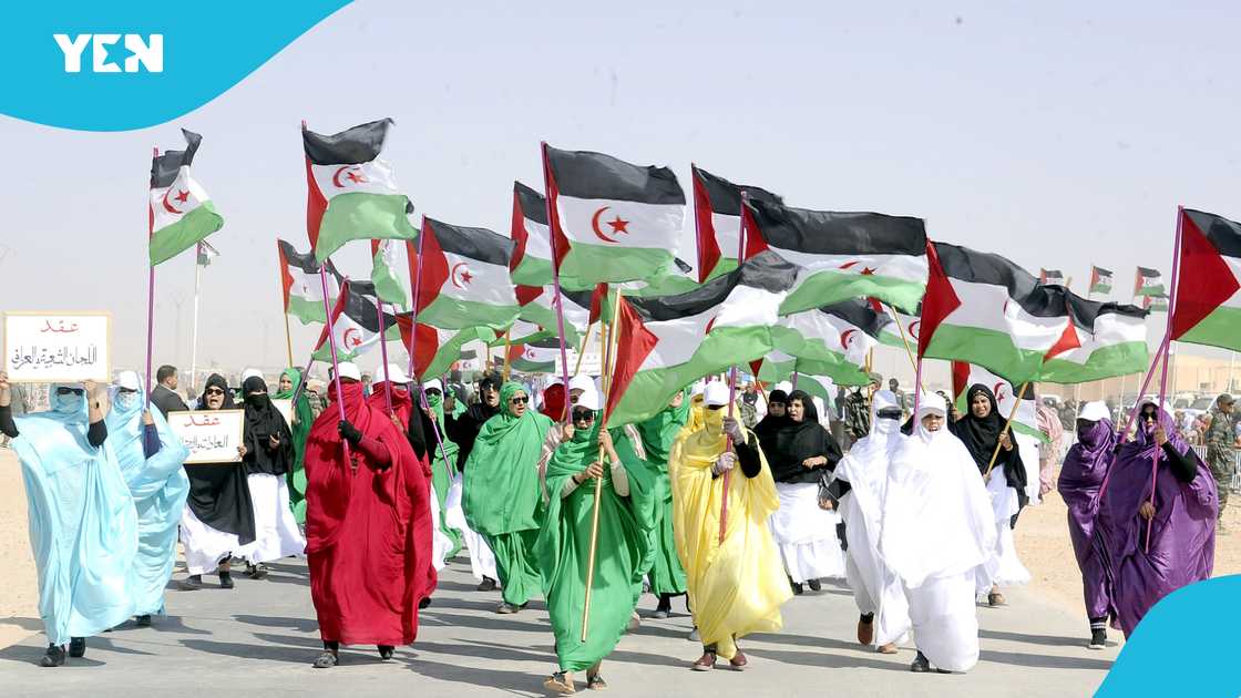 FIFA, FIFA bans African country, African country bigger than UK, 2026 World Cup, Western Sahara, Western Sahara out of World Cup, United States, Canada, Mexico.