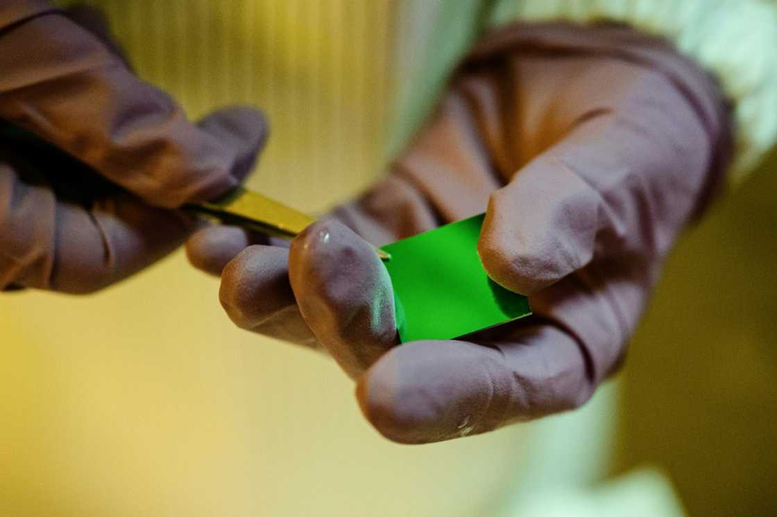 Experts say the spectre of looming tariffs has spurred stockpiling Experts say the spectre of looming tariffs has spurred stockpiling