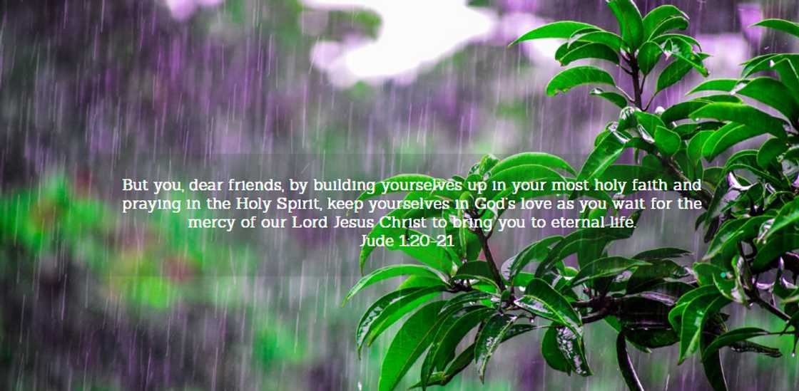 What is faith What is faith