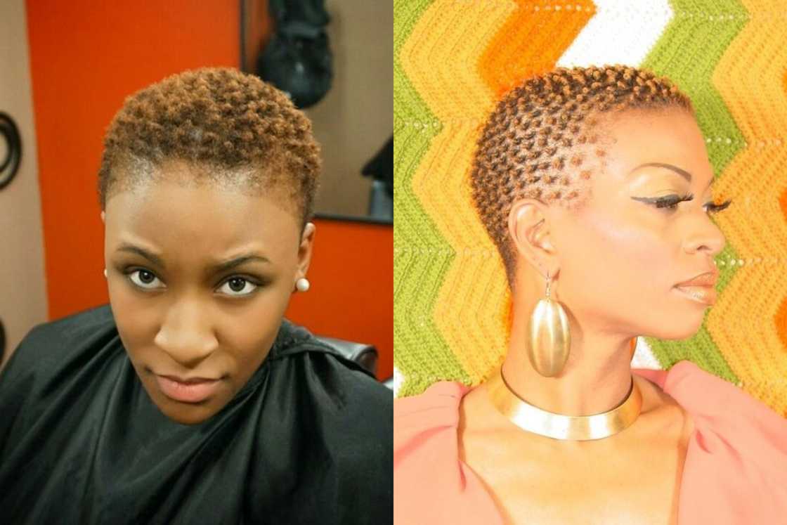 starter locs starter locs